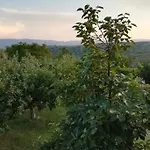 Holiday home Peaceful With Incredible Panoramic View Ipsilon