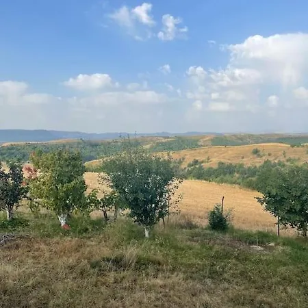 Peaceful With Incredible Panoramic View *