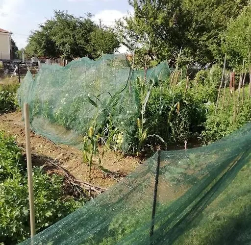 Feriehus Peaceful Cottage With Incredible Panoramic View *