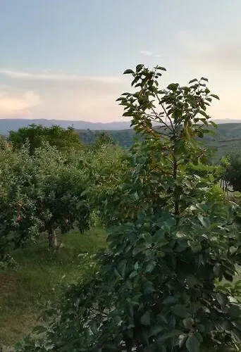 Feriehus Peaceful Cottage With Incredible Panoramic View Ipsilón