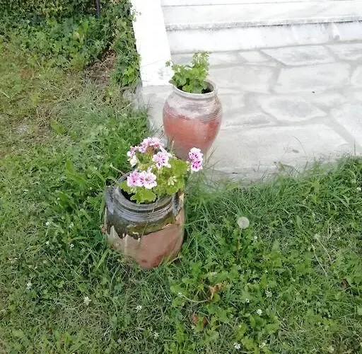 Feriehus Peaceful Cottage With Incredible Panoramic View *