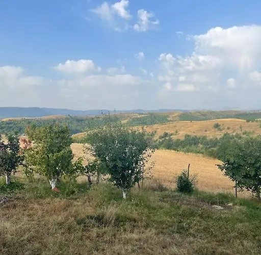 Peaceful Cottage With Incredible Panoramic View *