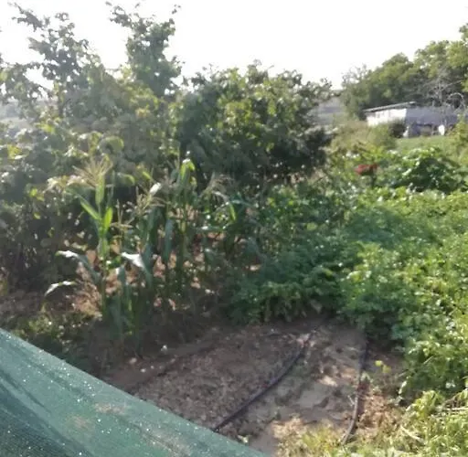 Peaceful Cottage With Incredible Panoramic View Feriehus *