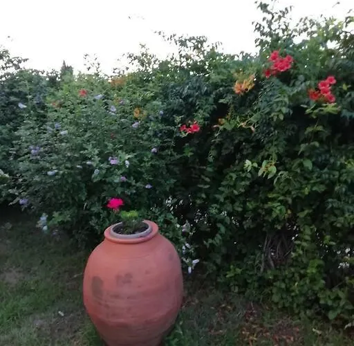 Peaceful Cottage With Incredible Panoramic View Feriehus *