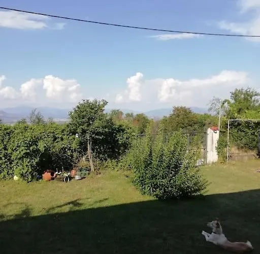 Peaceful Cottage With Incredible Panoramic View *